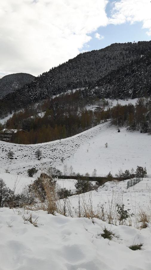 Comfortable Studio With Mountain View In Arinsal 40 M² + Ski Storage Exteriör bild